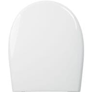 Сиденье для унитаза Iddis полипропилен с системой Soft Close, цвет белый 007PPSCi31