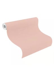 ���� ��������� �� ��������� Rasch Allegretto (0.53x10.05) ���������, ������� 690736 (���.)