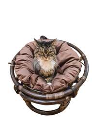 ������ �������-���� ��� �������� (600�600�400) � ��������, �����-���������� 23/01