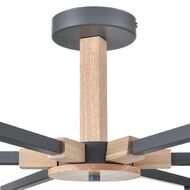 ������ �� ������ Lumion Colange 8096/6C, �����