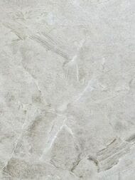 ���� ��������� �� ��������� Wiganford Fusion (1,06�10,05) ����������, �����, ER2101 (���.)