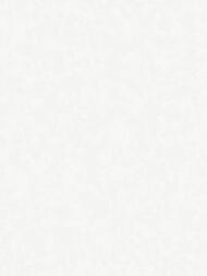 ���� ��������� �� ��������� Wall Up Estetica (1,06x10,05) ������, ����� 655506 (���.)