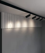 �������� ���������� Maytoni Focus Led Exility (����� ���) TR032-2-20W3K-S-B 3000K 20�� 24�, IP20, ������