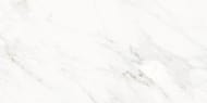   Laparet Tenderness .(6001200) ,  (..)