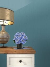     Solo Feerie (1,0610,00) ,  3504-4 (.)