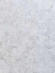 ���� ��������� �� ��������� Wiganford Fusion (1,06�10,05) ����������, �����, ER61305 (���.)