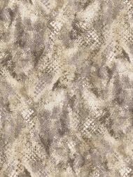 ���� ��������� �� ��������� ROBERTO CAVALLI  9 (1,06�10,05) ����������, ���������� 21054 (���.)