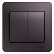 ����������� Systeme Electric GLOSSA 2-��������� � ����� ��.5 ��������� ����� GSL001452