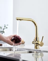 ��������� ��� ����� ESSEN, ������, Es213011-G, Paulmark