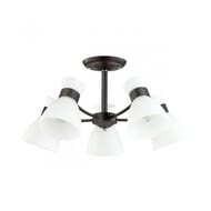 ������ �� ������ Lumion Wilma 4534/5C, ������