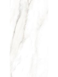 ������ ��������� Alma Ceramica Euphoria (249x500) ����� TWU2550EPH04 (��.�)