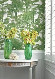 ���� �������� Thibaut Tropics (0,69�8,22) ������� T10103 (�����)
