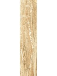 ��������������� ������ Alma Ceramica Wonderwood (200x900) ������� GFA92WDW48R (��.�)