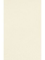 ��������������� ������ LAMINAM ITALY Collection Neve (1000�3000�3,5) �������� ,LAMF000102_IT (��.�.)