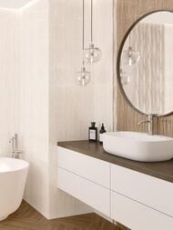 ������ ��������� Alma Ceramica Plesso (249x500) ���������� TWU09PLS404 (��.�)