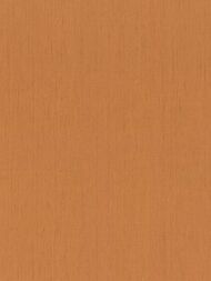     Rasch Indian Style (0,5310,05) ,  746099 (.)