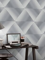 ���� ��������� �� ��������� Erismann Spotlight 2 ER12204-10 (1,06�10,05) ����� (���.)