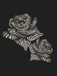 ����� ��������� �� ��������� ROBERTO CAVALLI Home 8 (3,0�3,0) �����, �����-����� 19115 (���.)