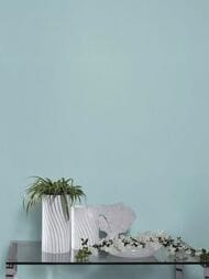     Rasch Indian Style (0,5310,05) ,  746150 (.)