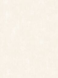 ���� ��������� �� ��������� Grandeco Universe 5 (1,06�10,05) ����������, ������� VR 1111 (���.)