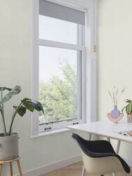 ���� ��������� �� ��������� Rasch Gentle Elegance (1,06x10,05) ���������, ����� 980325 (���.)