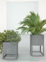   Triton -- 8080  , . / .  DK393