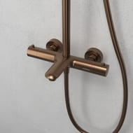 ������� ������� Abelsberg Perfecta SNS61102BC � ����������� ��� ����� � ����, �������� ����