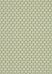 ���� �������� Thibaut Paramount (0,69�8,22) ������� T2926 (�����)