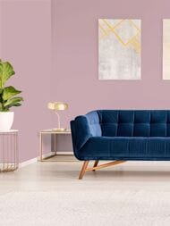 ���� ������������ Hygge 77 Colors C4 04 (1,00�10,05) ������� (���.)