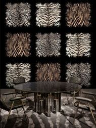 ����� ��������� �� ��������� ROBERTO CAVALLI Home 8 (3,0�3,0) ��������,���� ��������.19105 (���.)