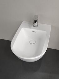   Villeroy & Boch Antao 541100R1 (375560320) CeramicPlus,  