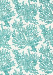 ���� �������� Thibaut Tropics (0,69�8,22) ������� T10121 (�����)