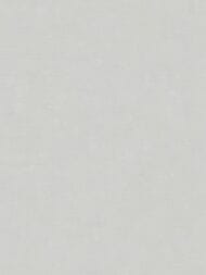 ���� ��������� �� ��������� As Creation Pacifica Deluxe (1,06�10,05) ����� 39939-2 (���.)