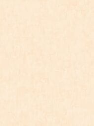 ���� ������������ Artsimple Valley (1,0�10,05), ������-������� ARTS13 003/3 (���.)