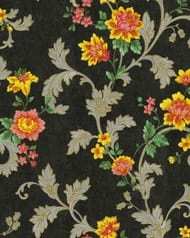 ���� ��������� �� ��������� Solo Molinella (1,06�10,00) ����� ������ �� ������, 31015-16 (���.)