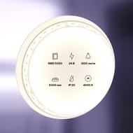 ������������ ����� Maytoni Led Strip 10169 24� 5050 14,4��/� 4000K 5� IP20, �����