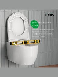     IDDIS Basic   ,   BASAI02i73