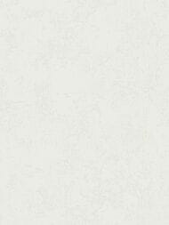 ���� ��������� �� ��������� Grandeco TANGO R125016 (1,06�10,05), ������-����� (���.)