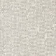  Mutina Phenomenon (250250) ,  TYPWI01 (.)