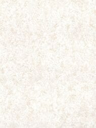 ���� ��������� �� ��������� Prima Italiana Ortisei (1,06�10) �������, ������� 80534 (���.)