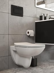 �������� ����������� Roca Debba 893104970 ������. ���� Rimless+������.+�������, ��� ������ �����