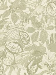     Rasch Novella (1.06x10.05) ,  983036 (.)