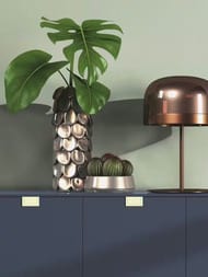 ���� ��������� �� ��������� Rasch Back to Nature (0.53x10.05) ���������, ������� 746136 (���.)