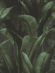 ���� ��������� �� ��������� Rasch Back to Nature (0.53x10.05) ������, ������� 416237 (���.)