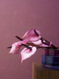 ���� ��������� �� ��������� Marburg The new Bombay 30130 (0,92�10,05) ���������� (���.)