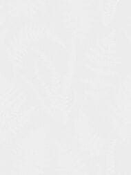 ���� ��������� �� ��������� Wall Up Step-Up (1.06x10.05) ���������, ����� W185113 (���.)