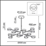 ������ �� ������ Lumion Torina 8117/12, ������