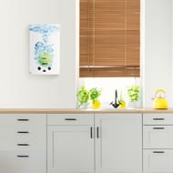 Газовая колонка Zanussi GWH 10 Fonte Glass Lime (550х330х191)