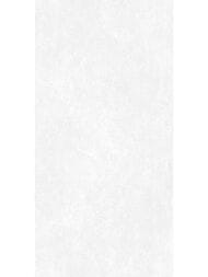 ��������������� ������ Alma Ceramica Beton Pro (600x1200) ����� GFU60120BTP00R (��.�)