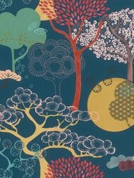     Rasch Amazing (0,5310,05) ,  539967 (.)